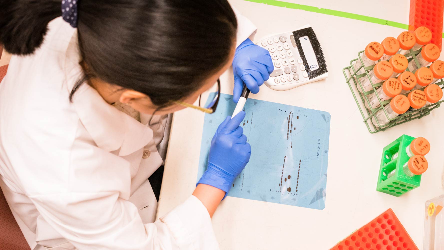 Laboratory technician analyzes biological samples using gel electrophoresis.