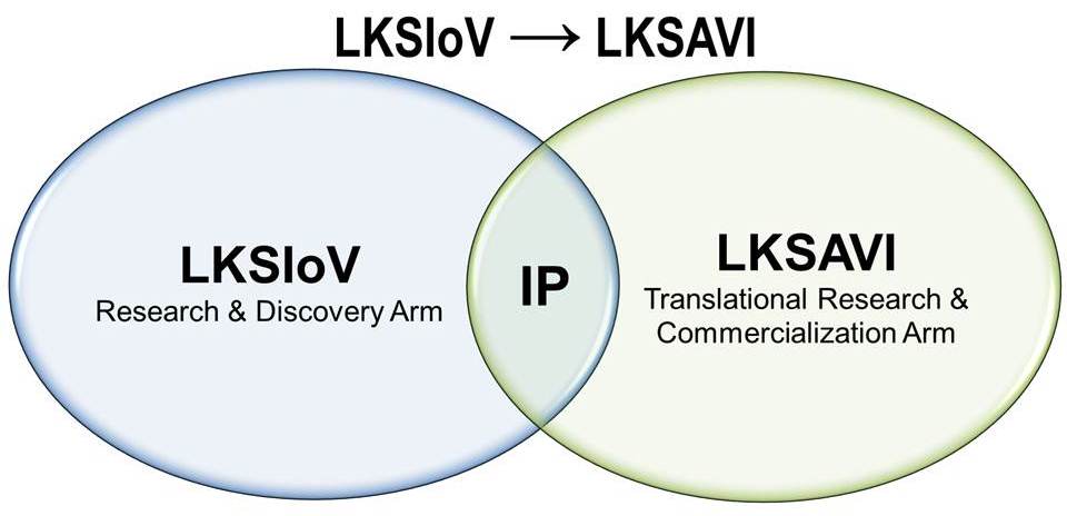 Venn diagram of LKSIoV and LKSAVI