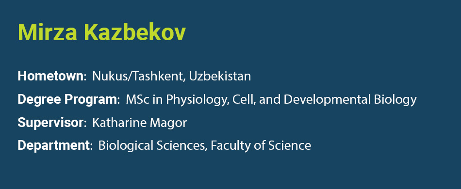 Bio info of Mirza Kazbekov