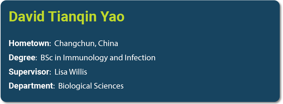 Bio info of David Tianqin Yao