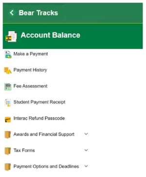 Screenshot of the BearTracks, Financial Tile sidebar with the first button, Account Balance, clicked