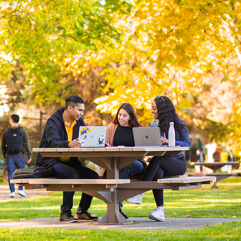 Students in sitting around a table in Main Quad