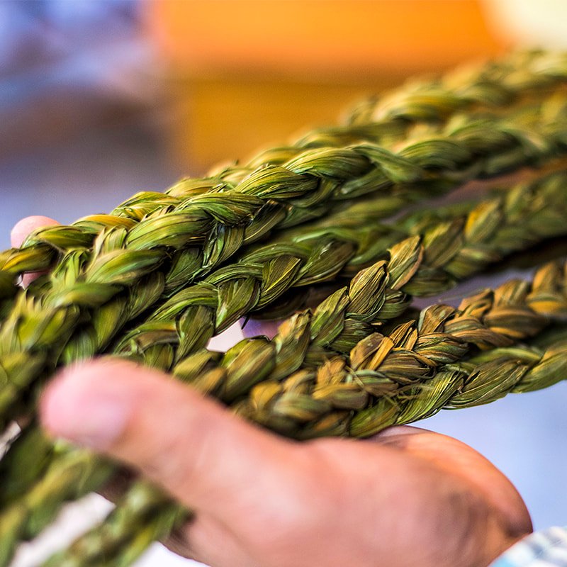 Close up of sweetgrass braids in an individual's hands