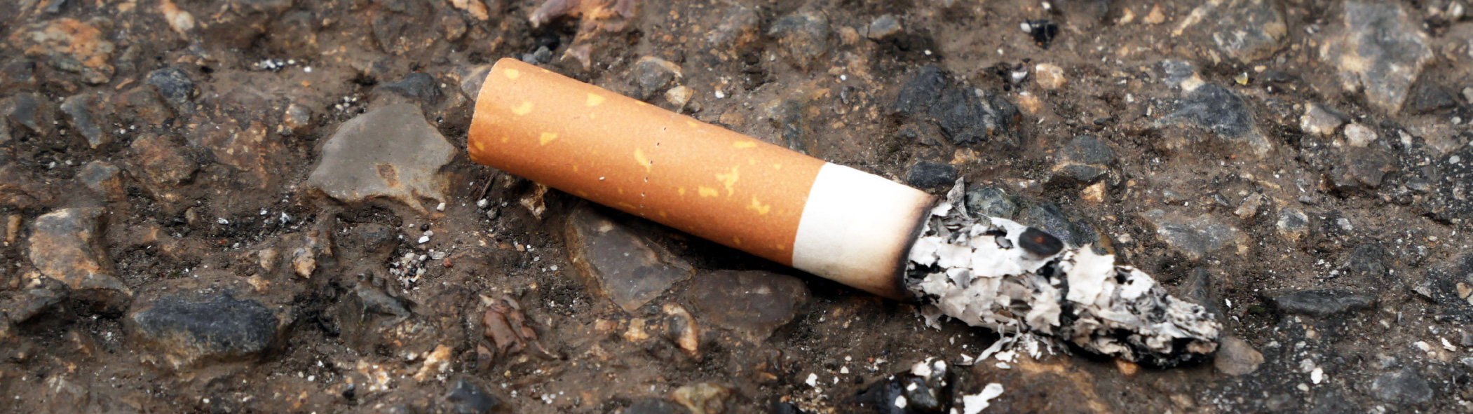 A cigarette on the ground, crushed