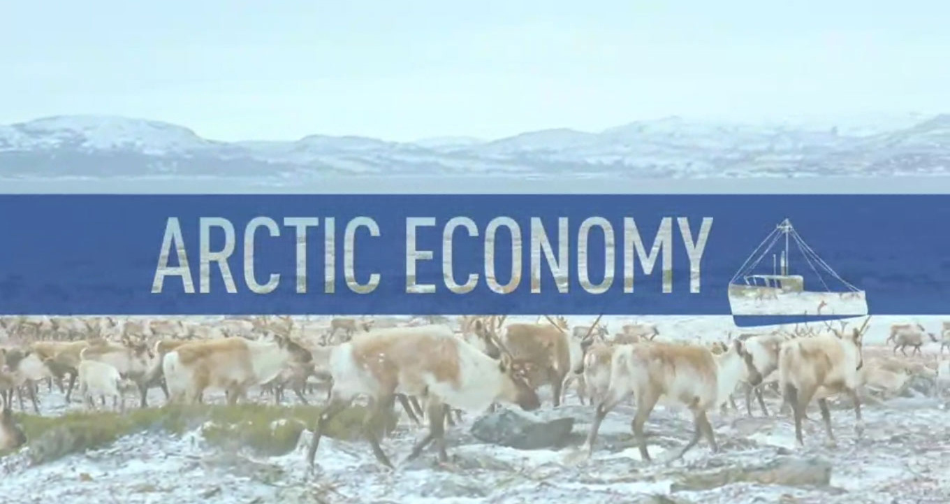 Arctic Economy online course title card