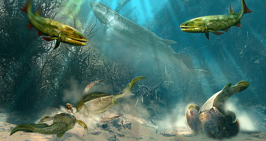 Palaeontology Ancient Marine MOOC image