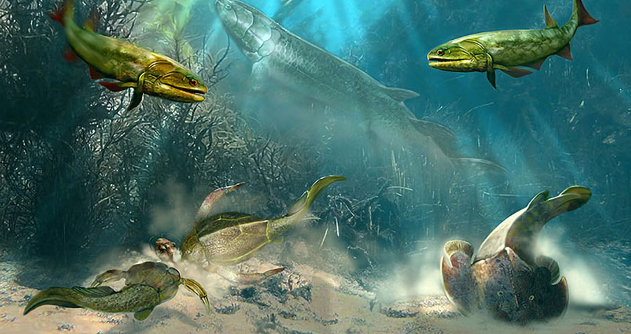 Painting of ancient marine animals