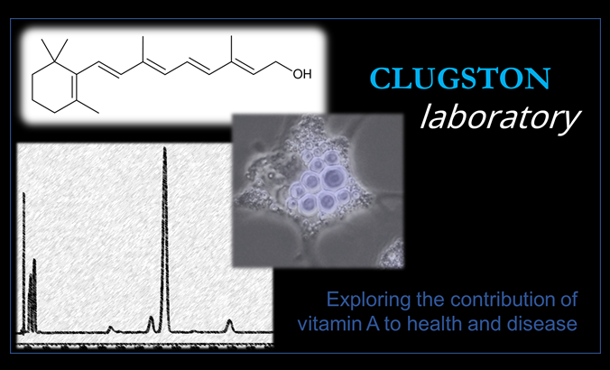 Clugston Lab