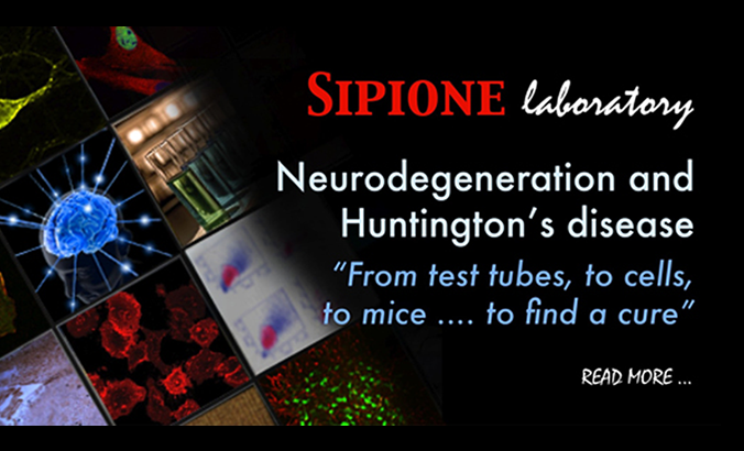 Sipione Lab
