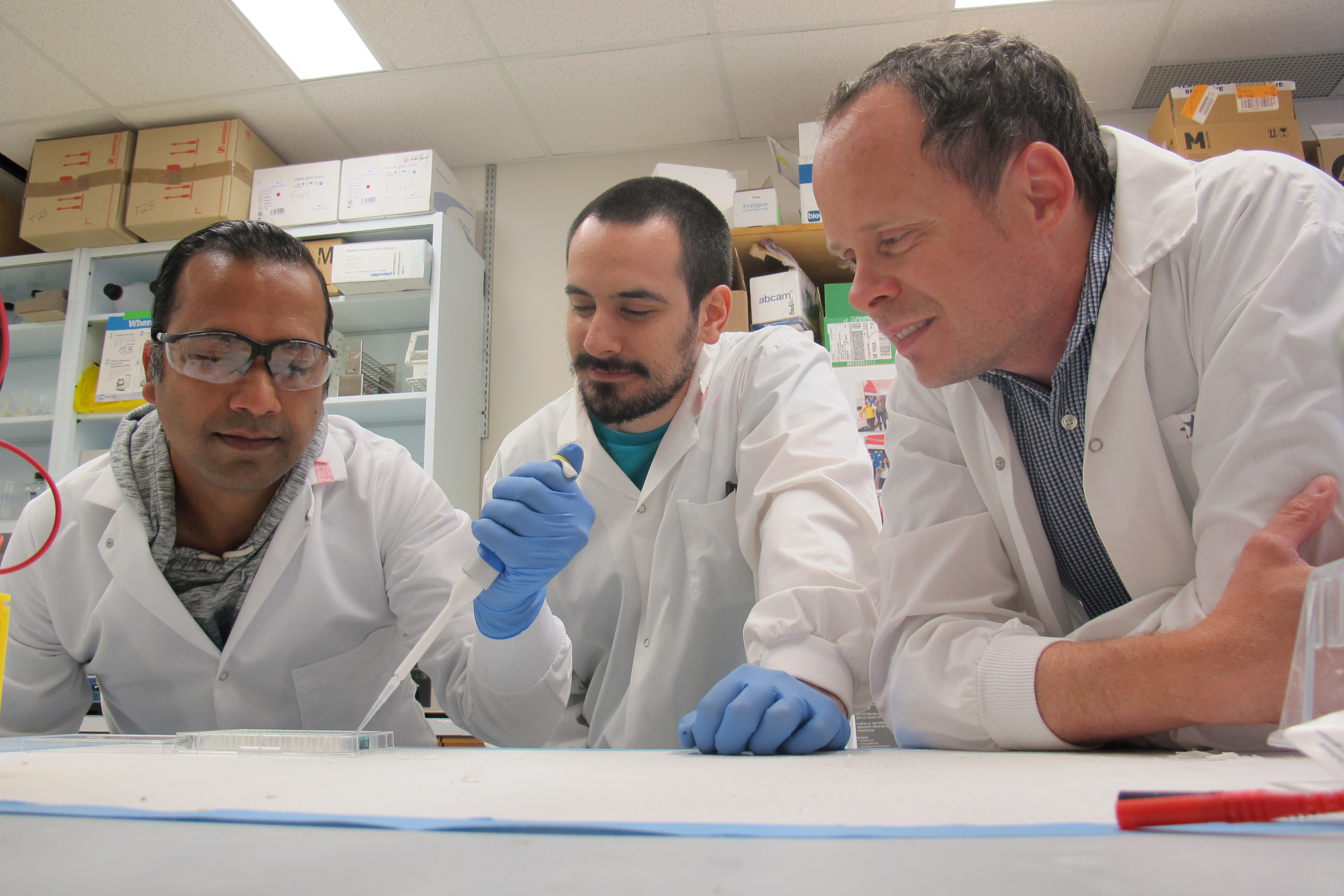 Arun Raturi, Tomas Gutiérrez and Thomas Simmen are co-authors of a University of Alberta study describing how a single protein has been discovered to slow the fast growth of tumour cells.