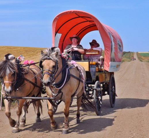 Horse drawn wagon in Wild Pink Yonder