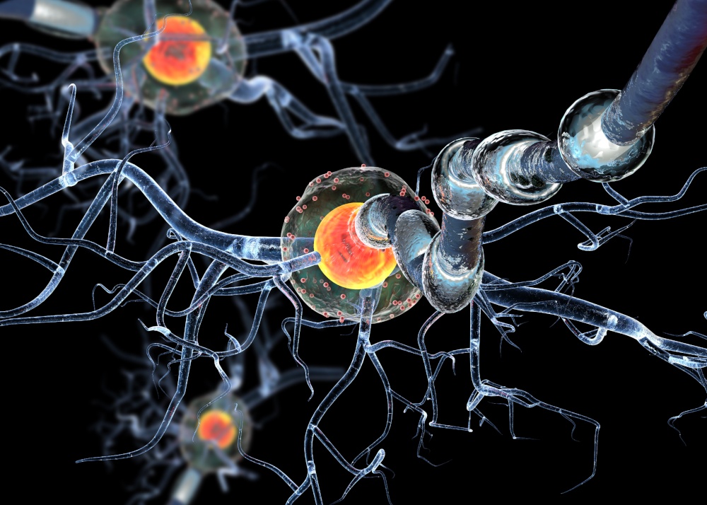 Graphical image of nerve cells