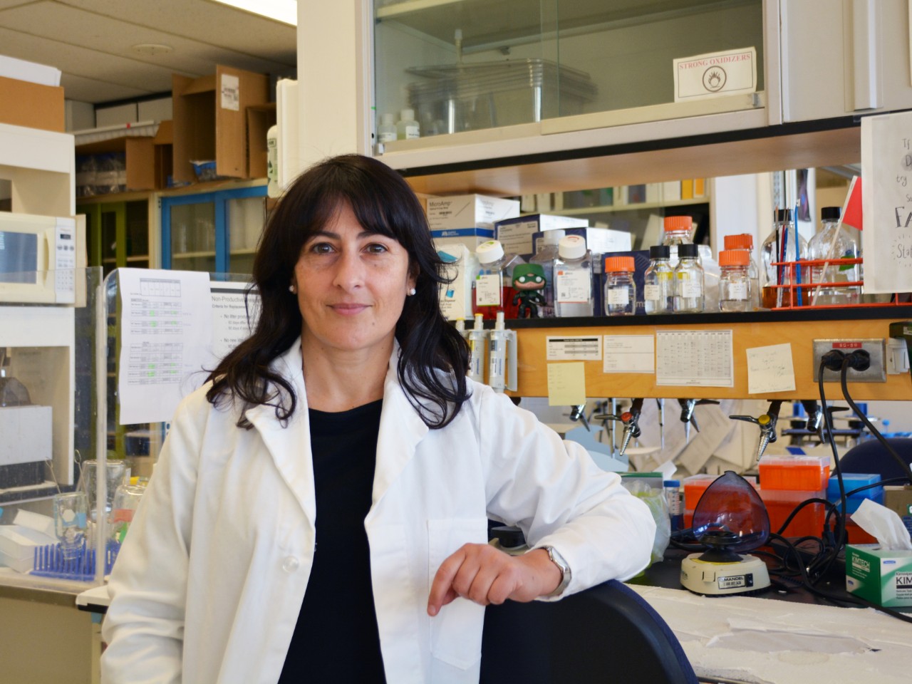 Simonetta Sipione and her team are developing a potential therapeutic for neurodegenerative diseases.