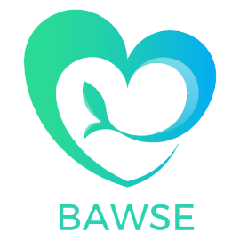 BAWSE logo