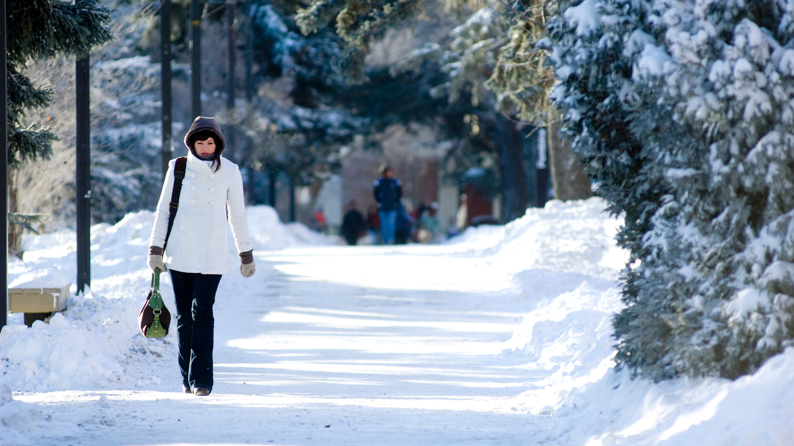 Student walking towards the point of view wearing winter garments and walking through a path near the main Quad on the University of Alberta's North Campus