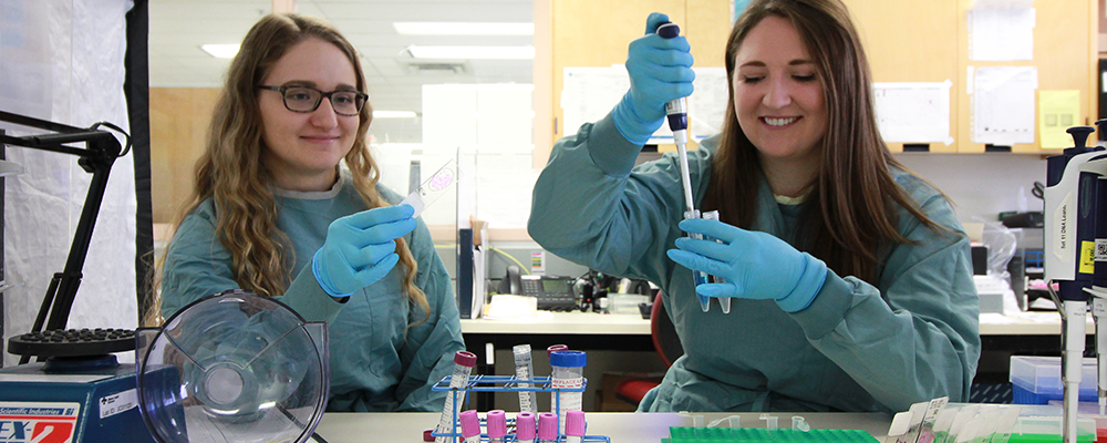 Students in a lab setting