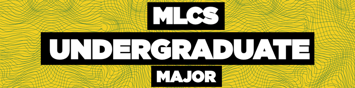 MLCS Undergraduate Major