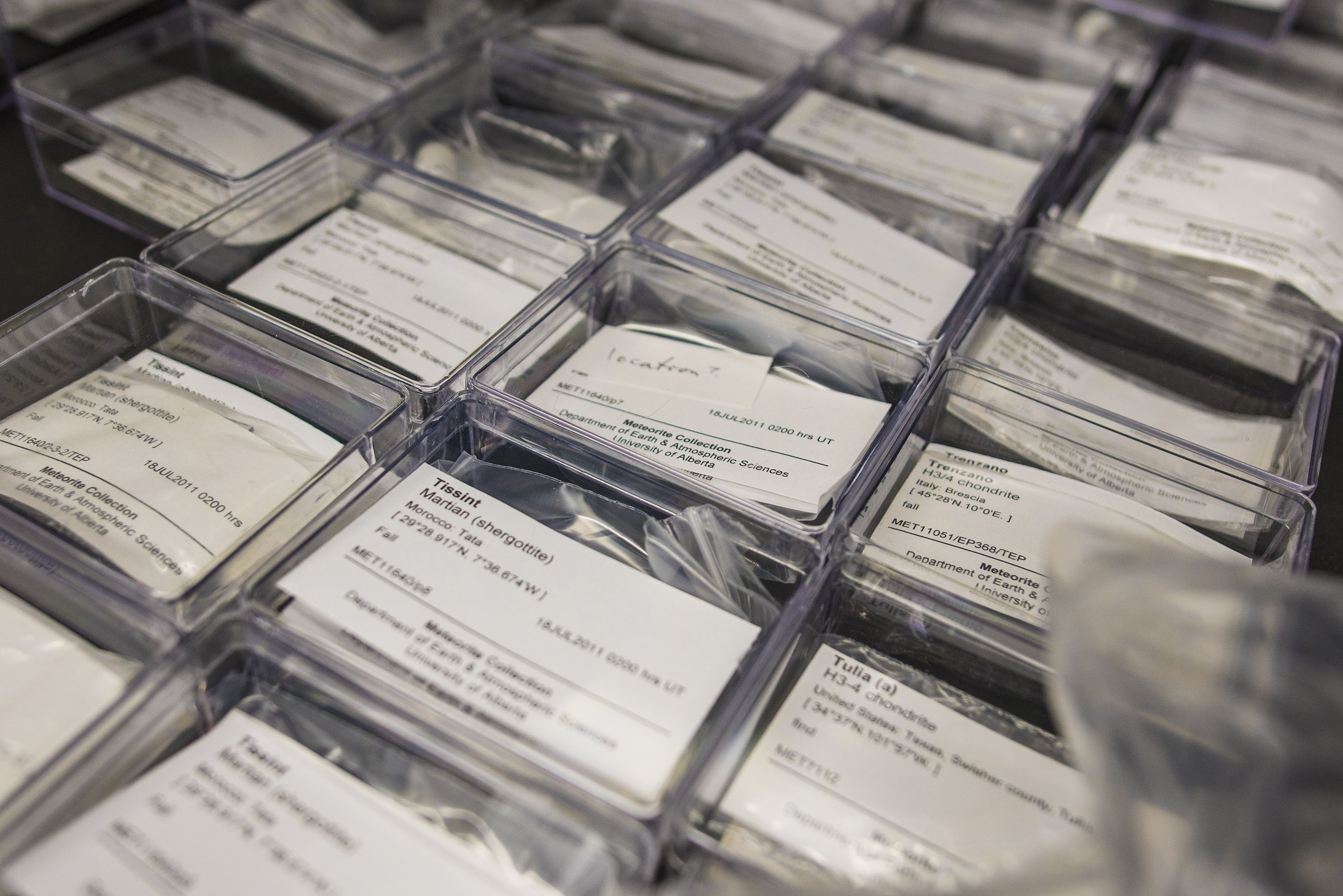 Rows of clear plastic contains with small bags of meteorite specimens inside, covered by white identification cards.