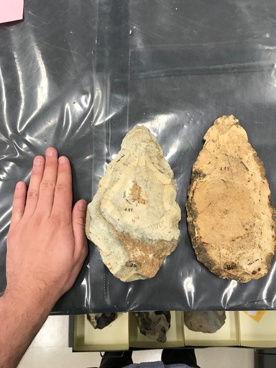 A hand held next to two archaeology specimens for size comparison