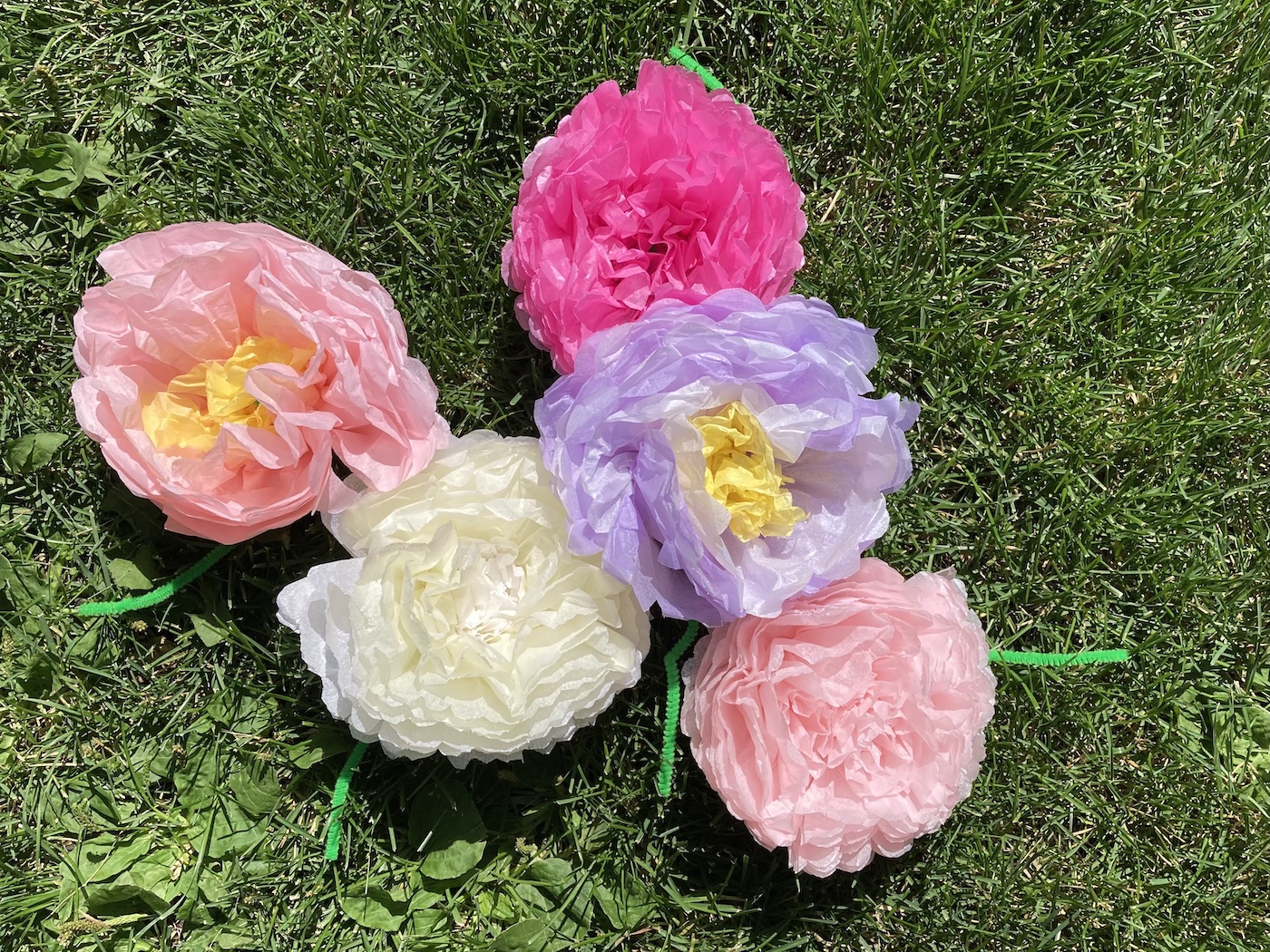 multi-coloured paper peonies sitting on green grass.
