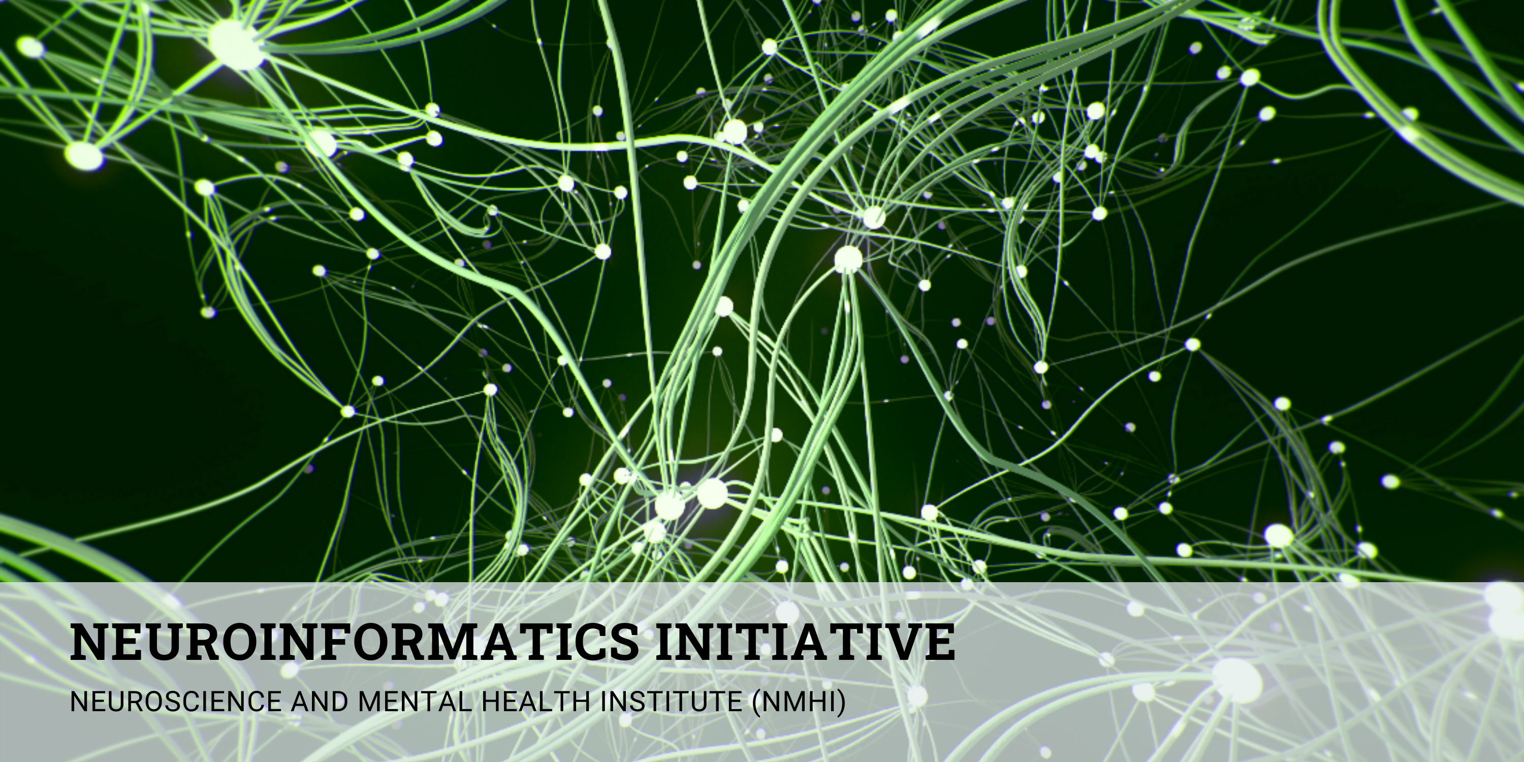 neuroinformatics-website-banner.png