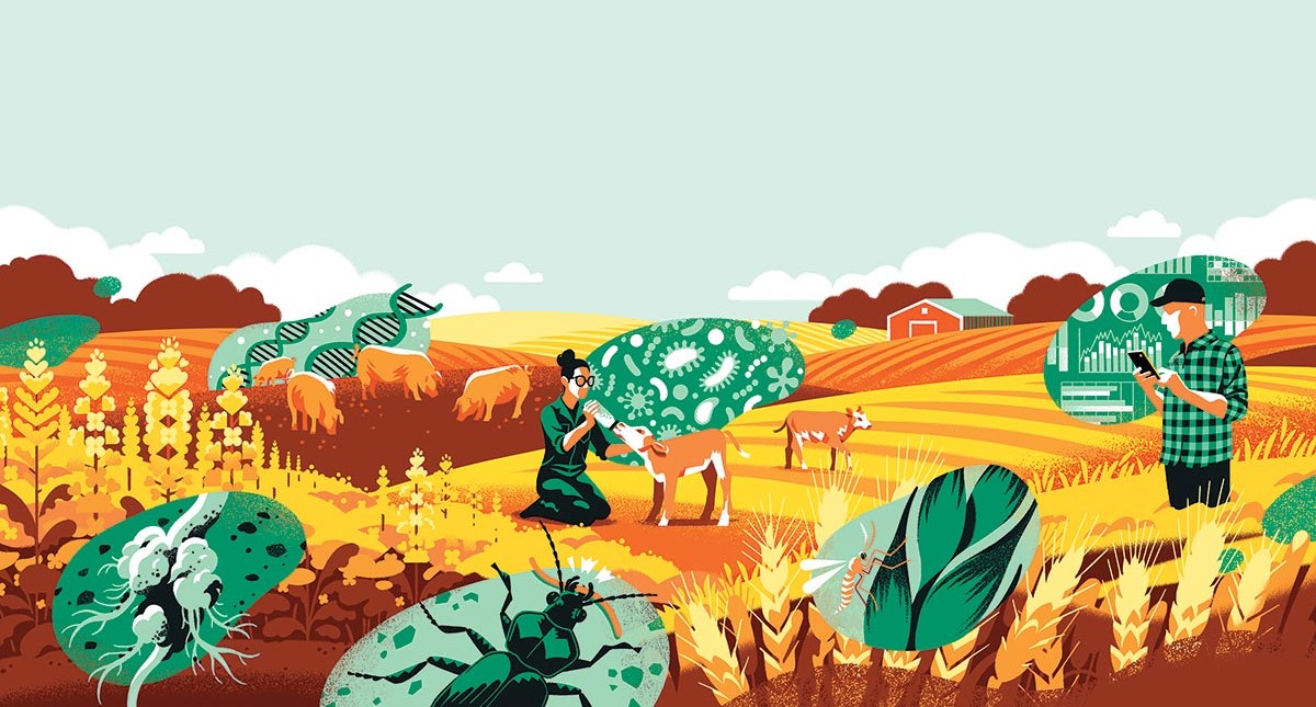 Illustration of farmland with crops, animals, and farmers.