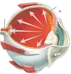 glaucoma-cataracr.jpg