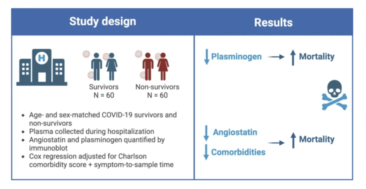 Franczak et al - Graphical Abstract