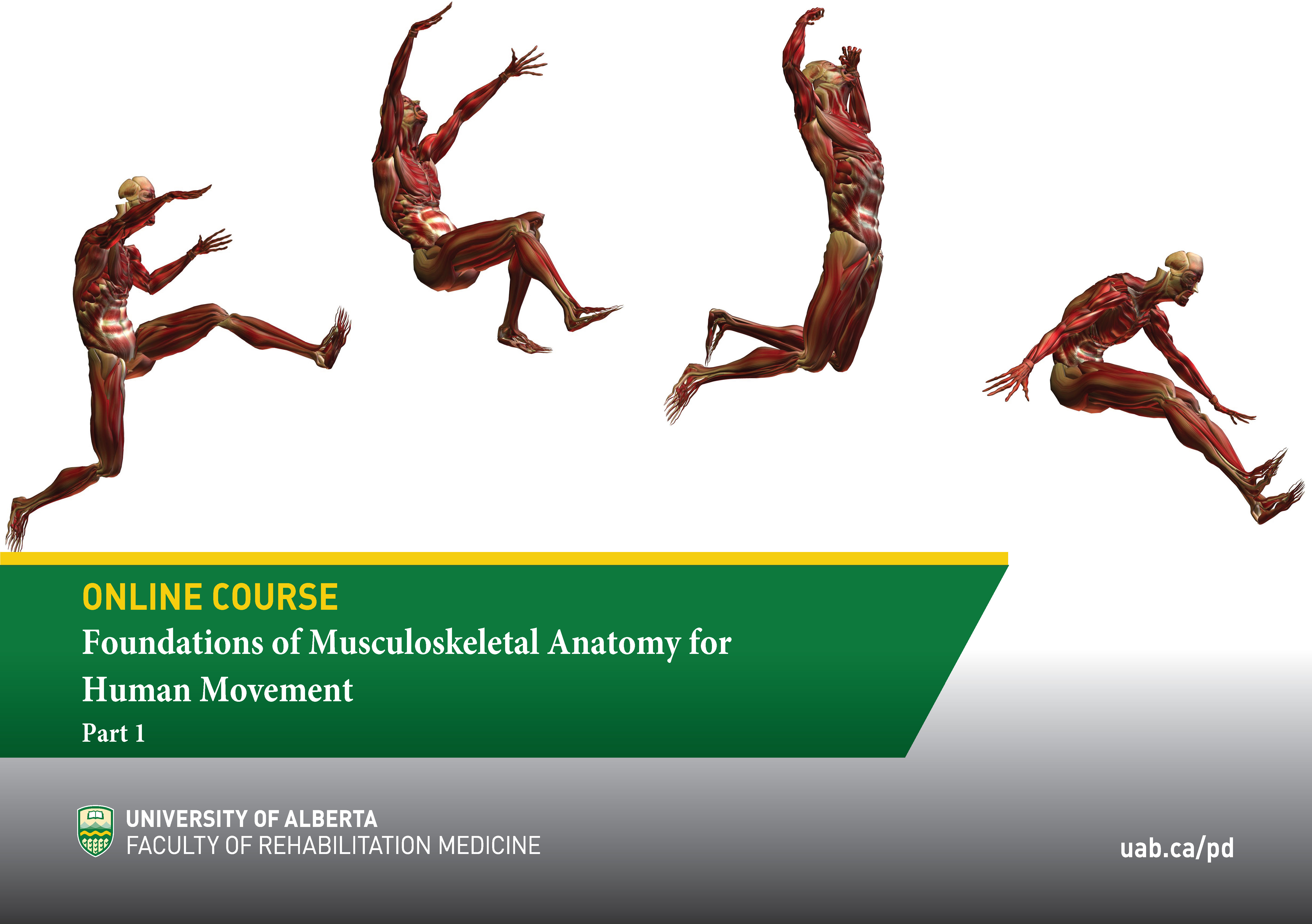 foundations-of-anatomy-msk-movement---flyer.jpg