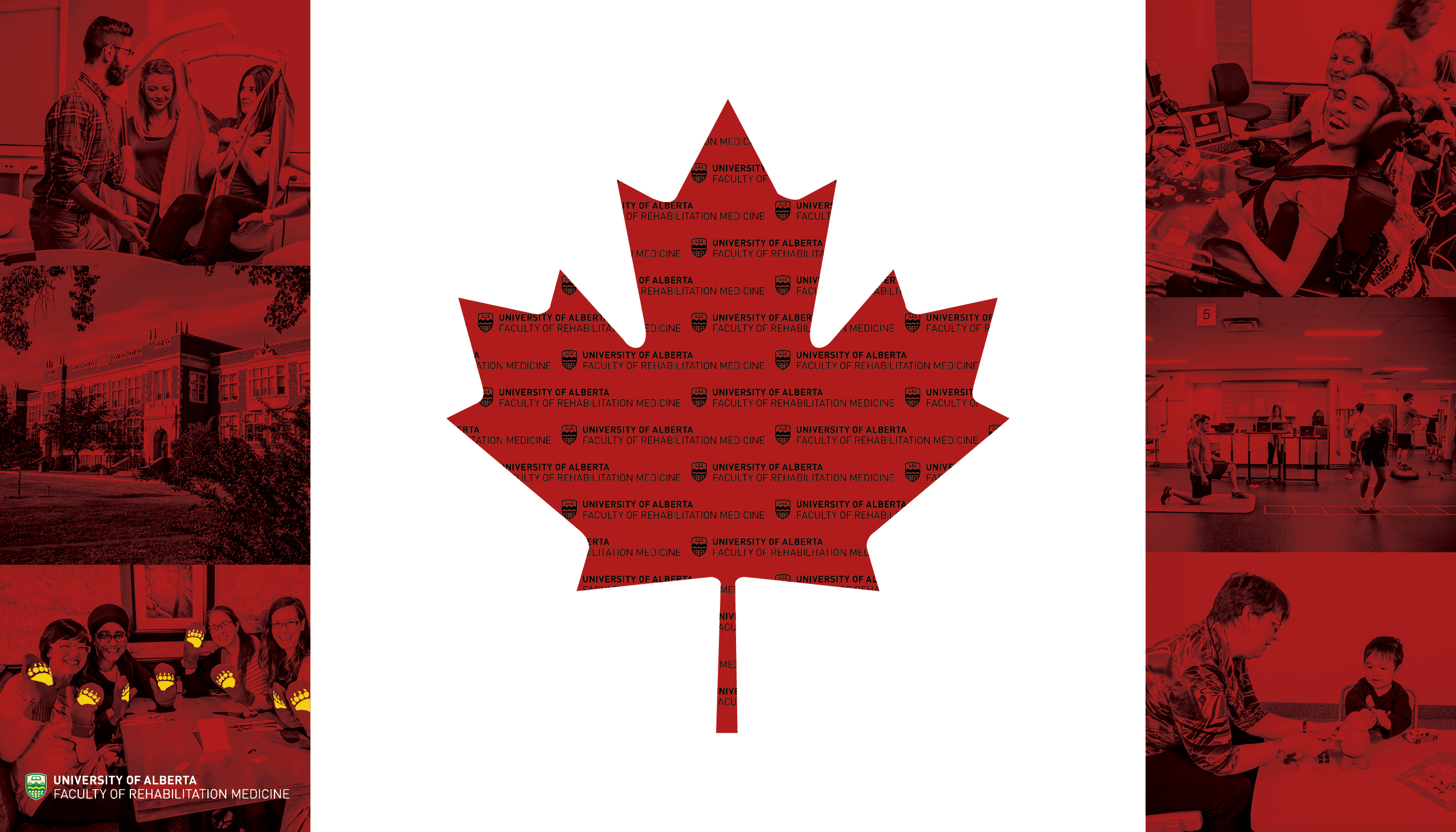 Canada flag, two large red stripes on each side with a white centre and red maple leaf in the middle