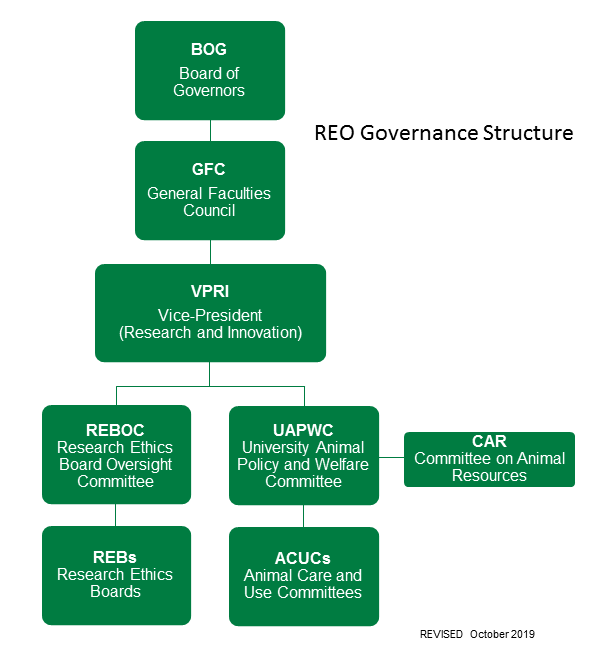 REO Governance Structure
