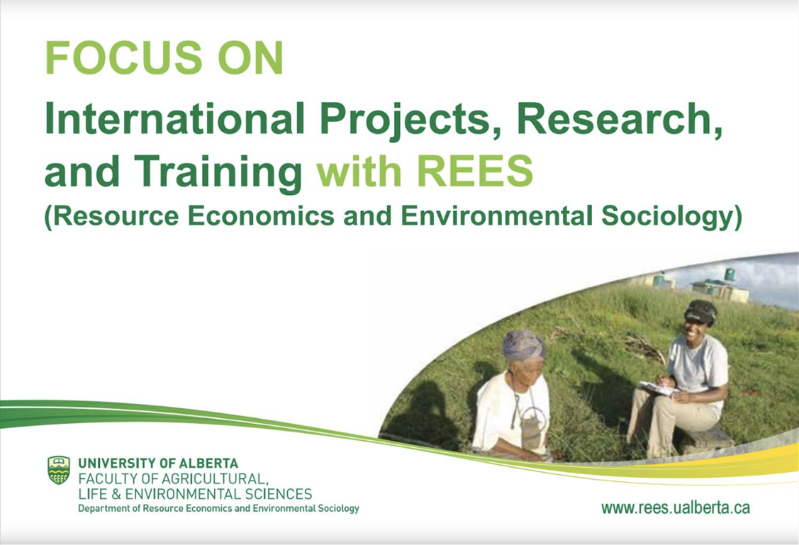 Cover page of a report reading focus on international projects, research and training with REES