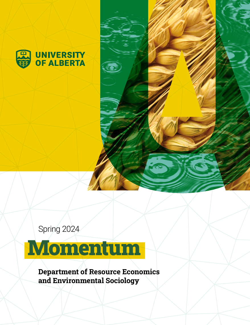 Photo of the cover of the REES Momentum report, including decorative patterns of wheat and water