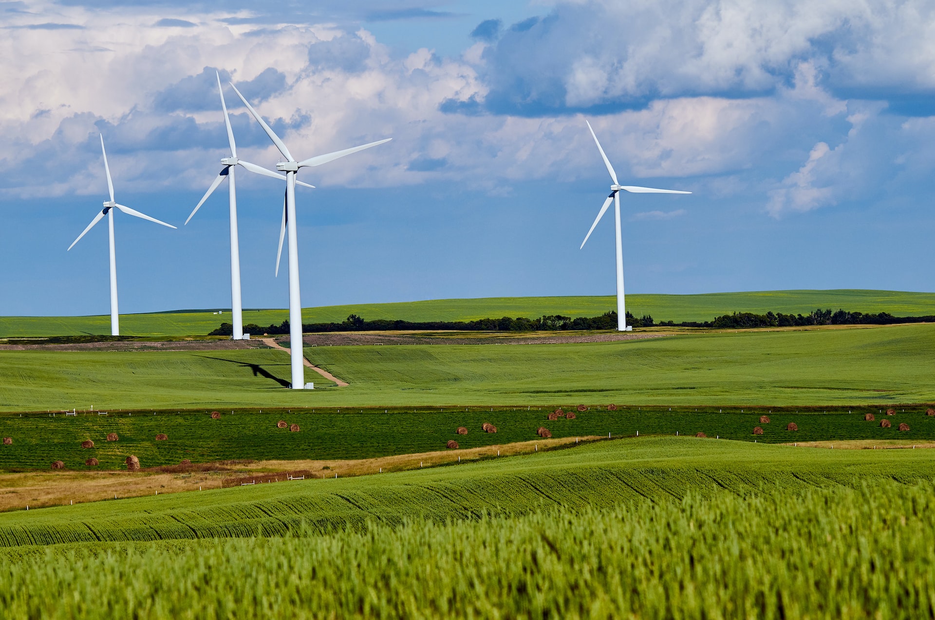 landscape of a farm with wind turbines