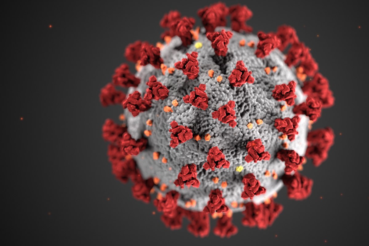 An illustration of the structure of coronaviruses, created by the Centers for Disease Control and Prevention.