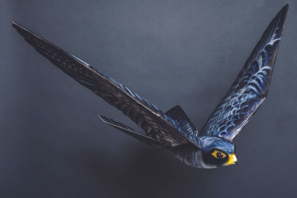 The Robird's AI-powered drone design resembles a predatory bird, a design aimed to help deter birds from industrial sites.
