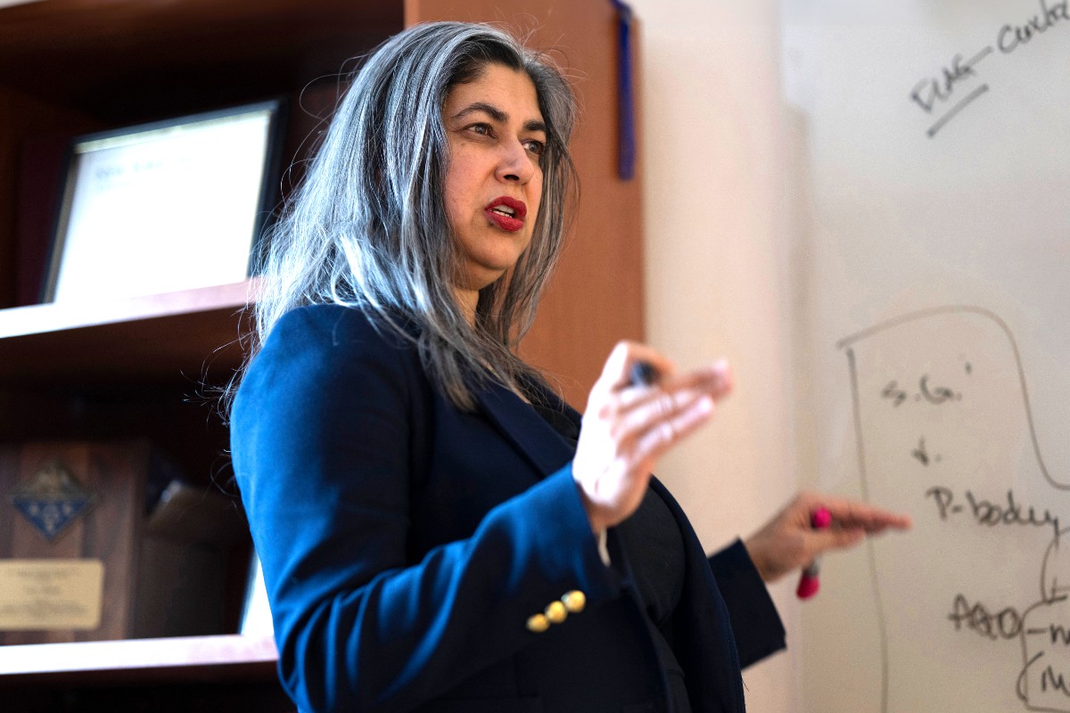 Lara Mahal, Canada Excellence Research Chair (CERC), professor in the Department of Chemistry, and founder and director of the Glycomics Institute of Alberta.