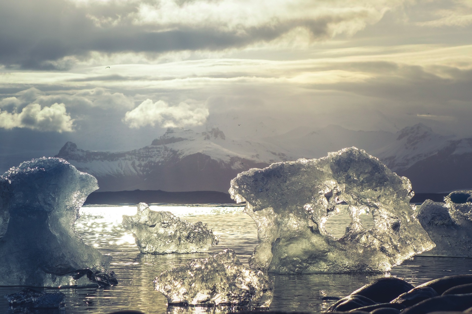 Chunks of melting ice floating in the arctic ocean, mountains in the distance
