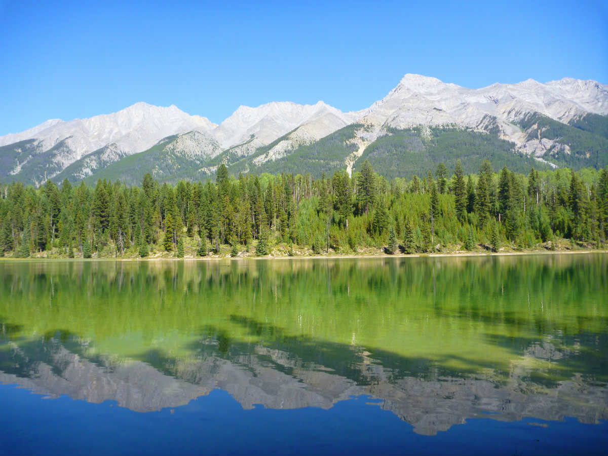 A new study shows zooplankton are excellent bioindicators of the health of alpine lakes.