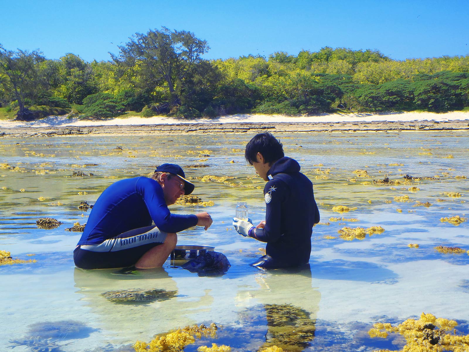 Dr. Arthur Anker (left) and Dr. Tomonari Kaji (right); Heron Island Reef Flat, Great Barrier Reef, Australia