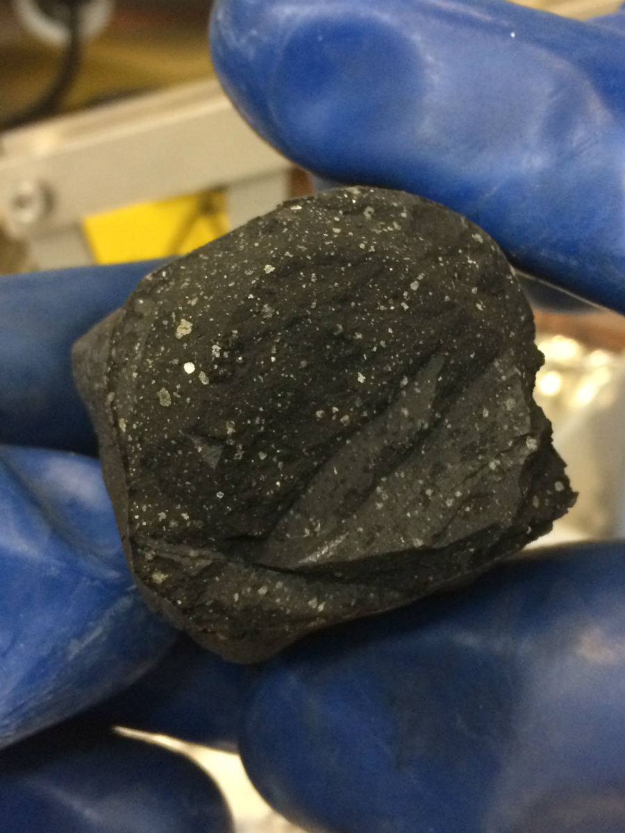 A fragment of the Tagish Lake meteorite, from the UAlberta Meteorite Collection