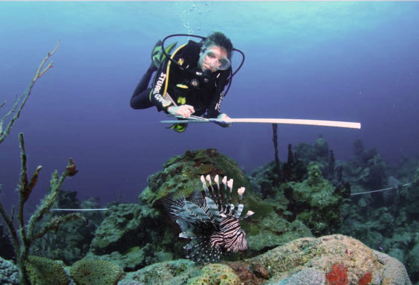 Stephanie Green, assistant professor in the Department of Biological Sciences, swims alongside a lionfish.
