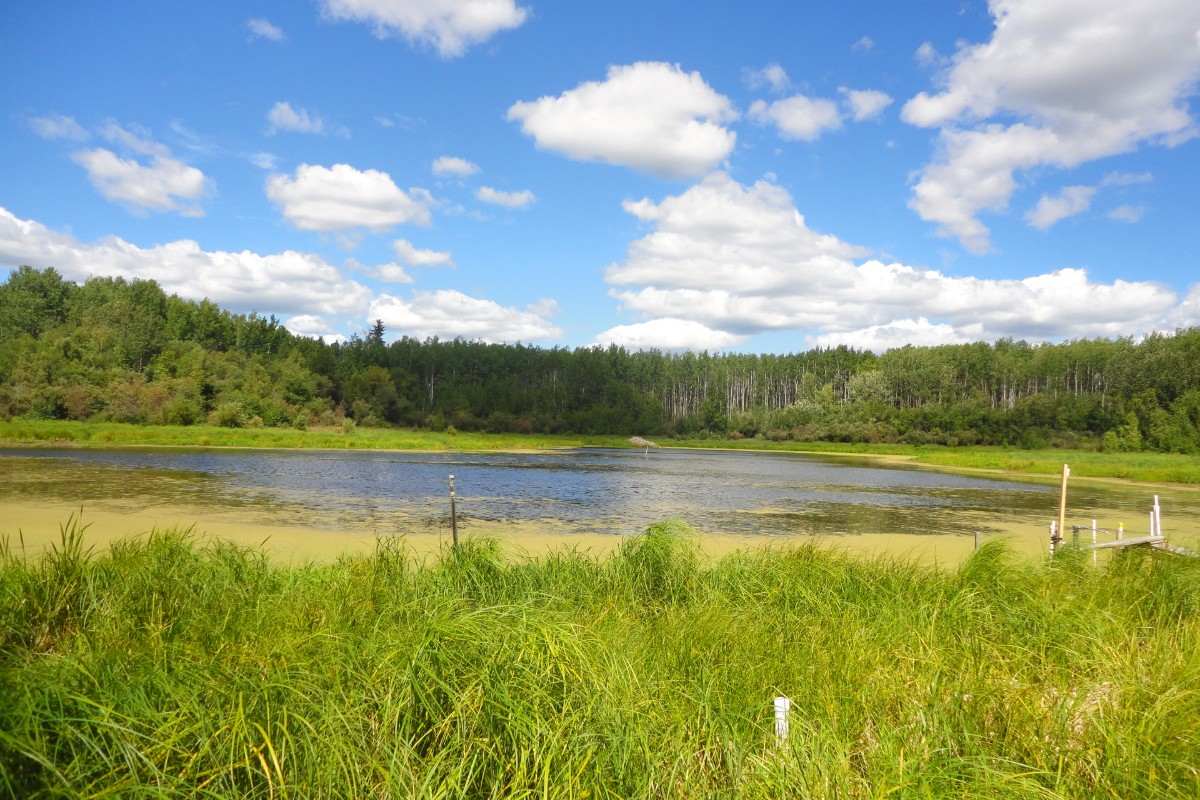 New water management paradigm provides powerful insight and assessment information for boreal plains region.