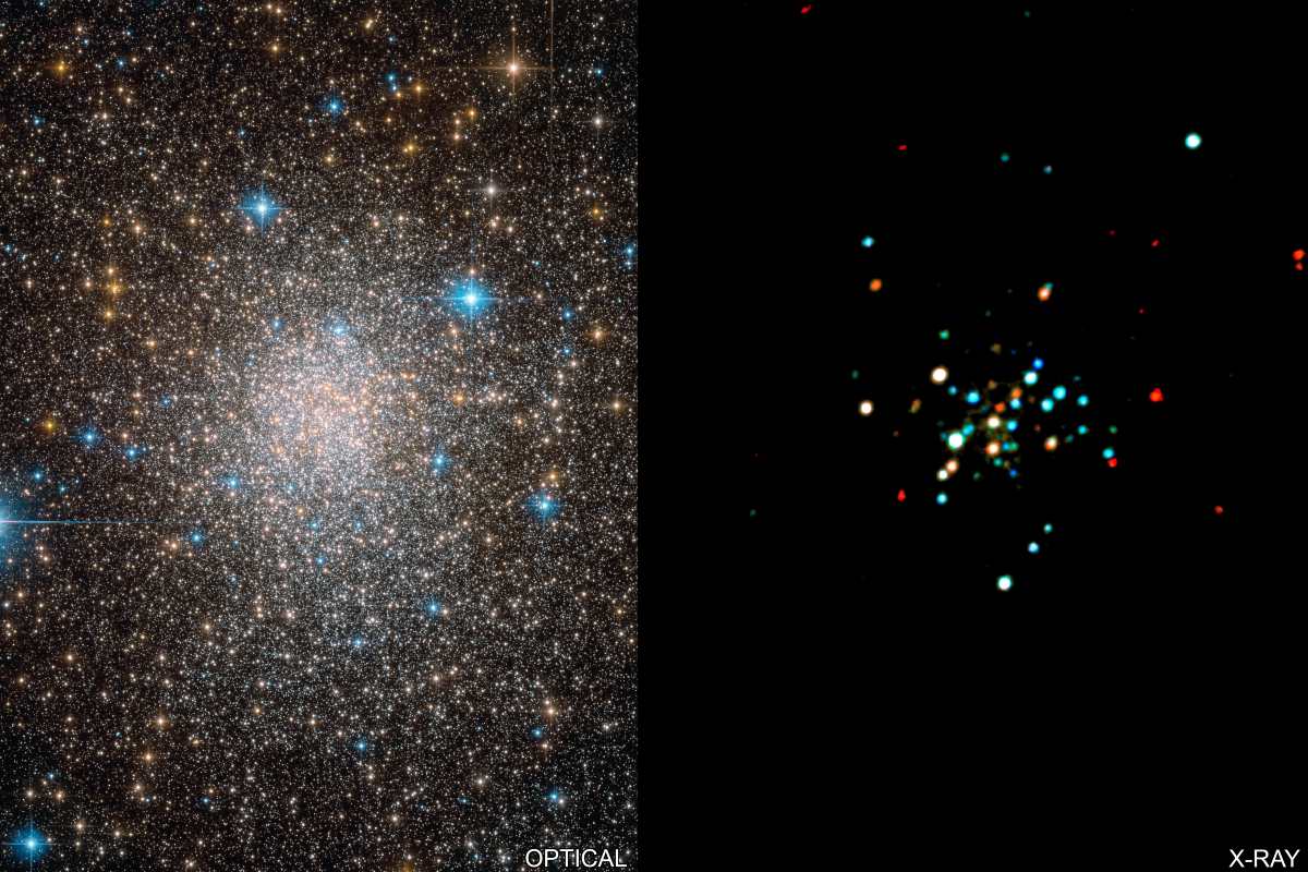 A duo of stars in the cluster Terzan 5 are swapping between two unique states—a phenomenon that’s been observed only three times before, and one of particular interest to astronomers. Image credit: NASA/Chandra X-Ray Observatory 