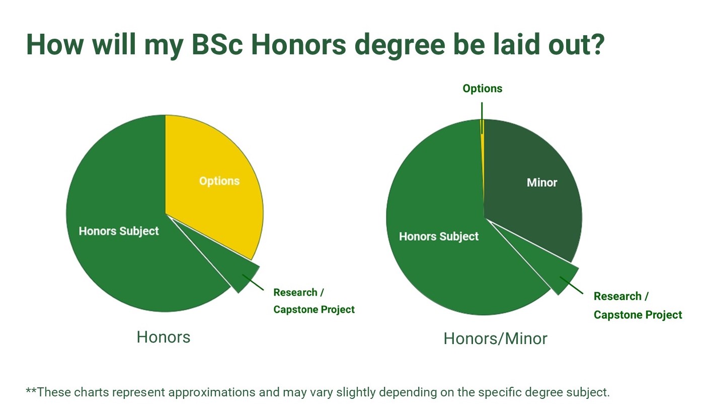 BSc Honors pie charts