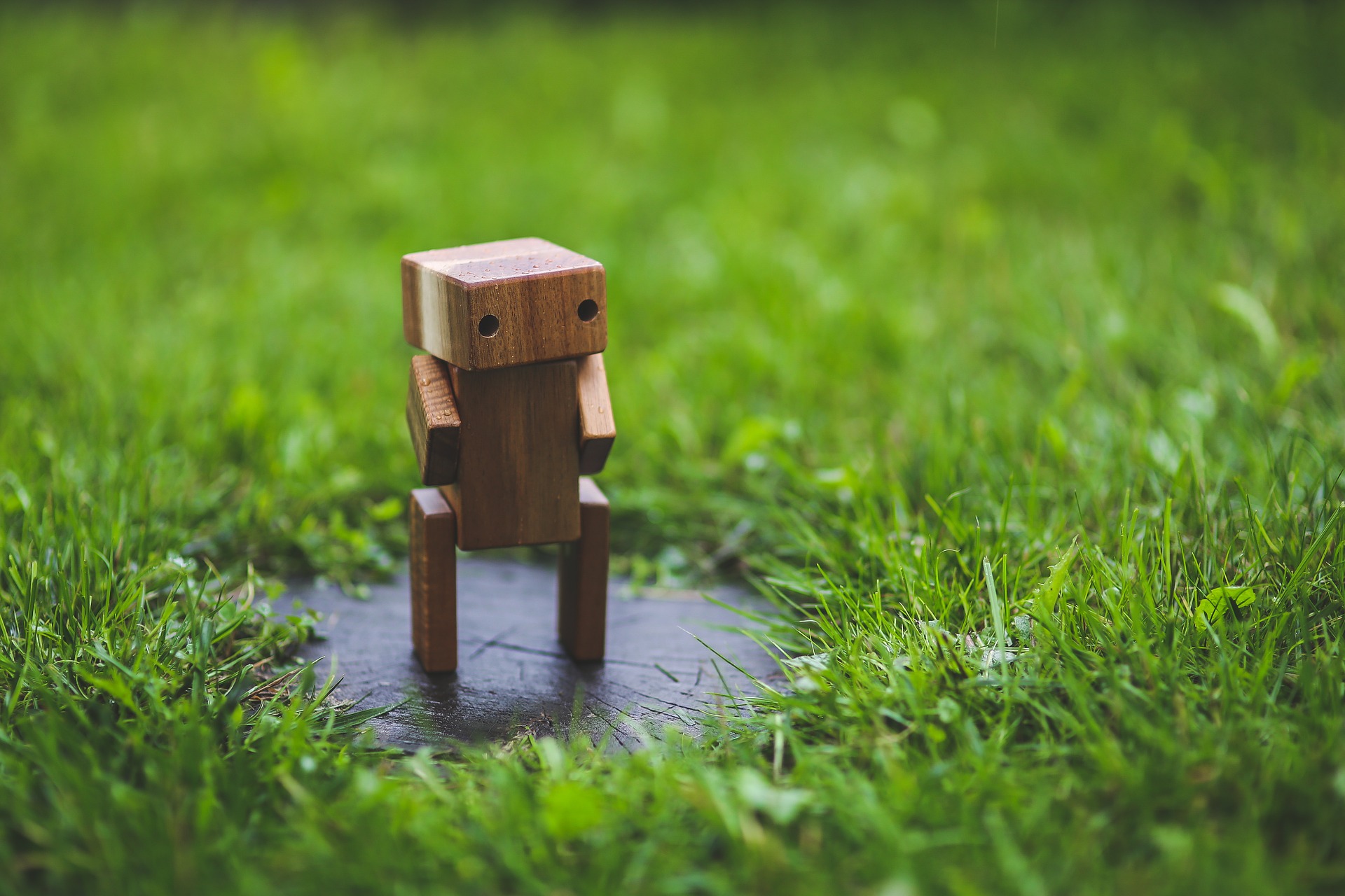 a miniature wooden robot standing on grass