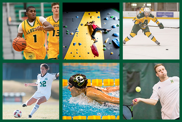 Collage of 6 Early Entry Sports