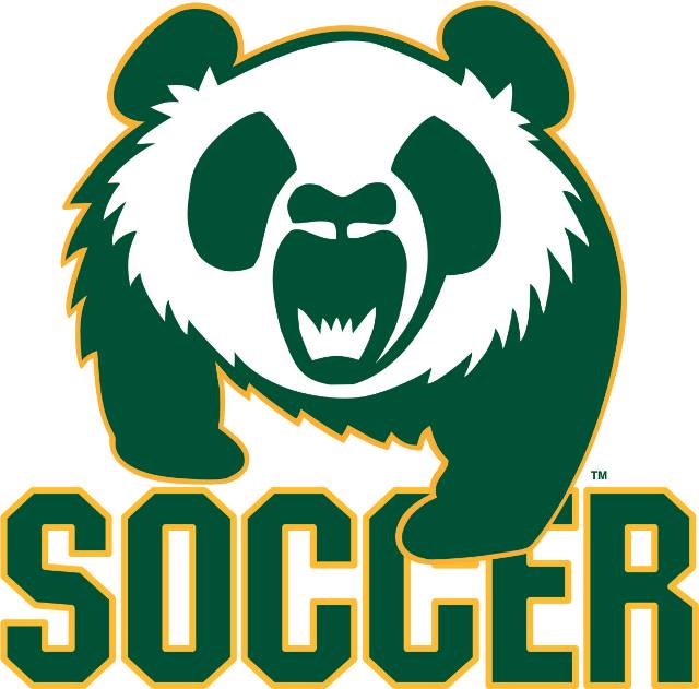 Pandas Soccer Logo