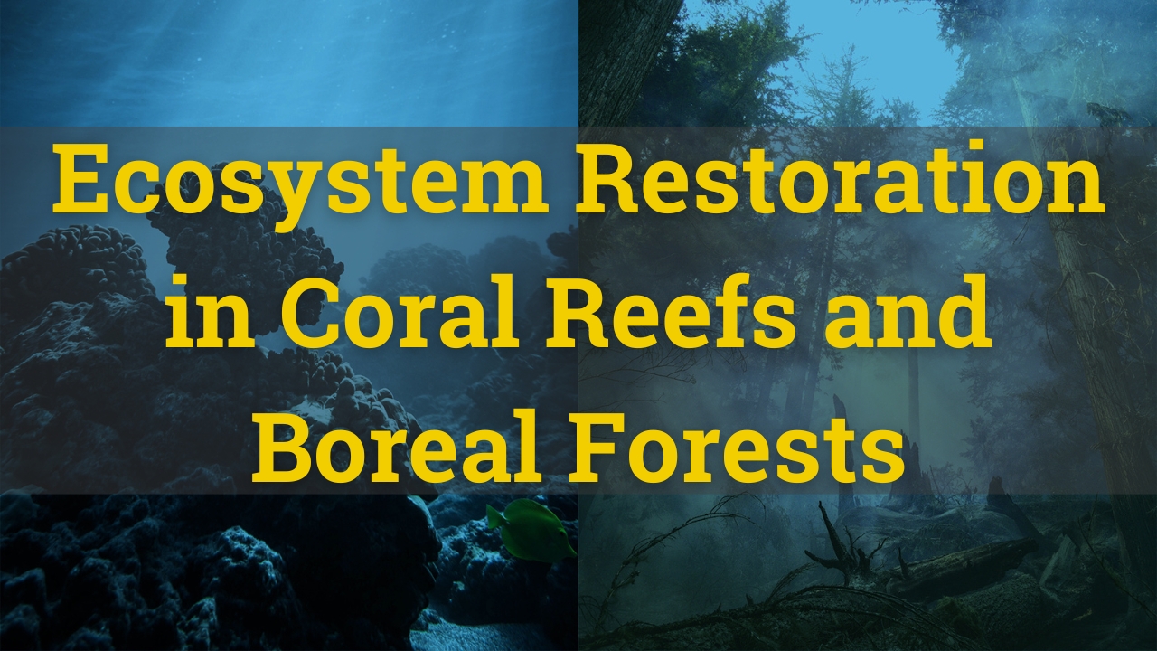 sdg-14-ecosystem-restoration-in-coral-reefs-and-boreal-forests.jpg
