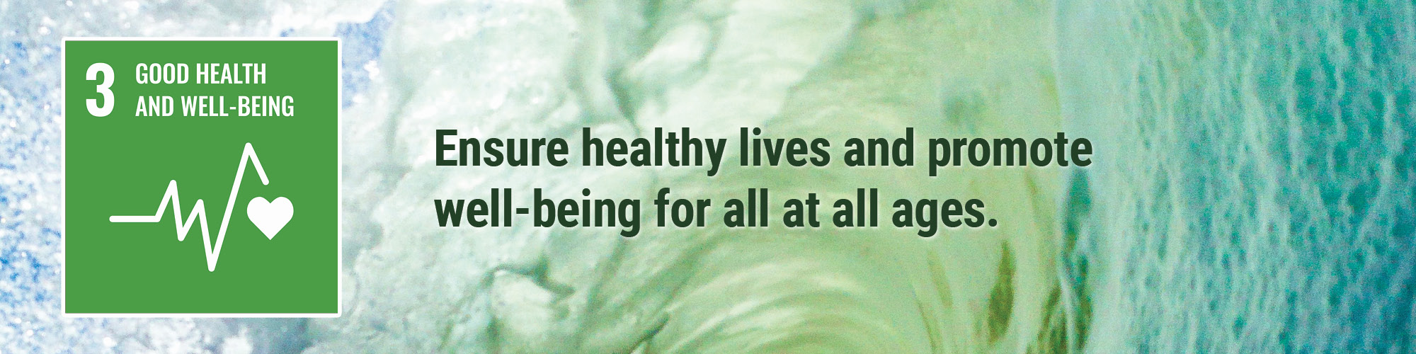 Ensure healthy lives and promote well-being for all at all ages.